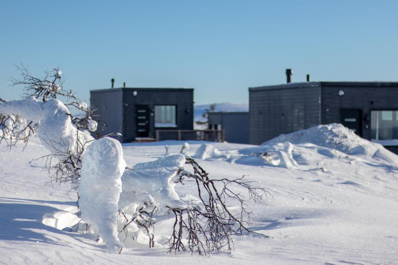 Top Star Saariselkae - Arctic Glass Cubes Exteriér fotografie